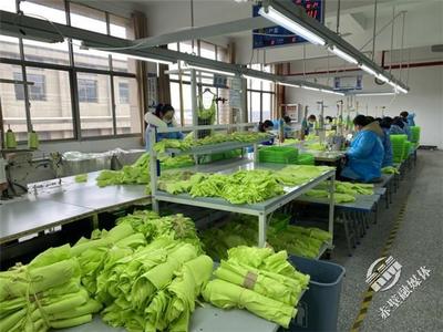 新春新氣象，赤壁服裝企業設計先行，全力沖刺“開門紅”