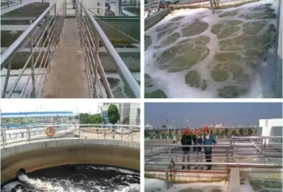 肖羽堂 以技術先鋒之姿，共繪企業(yè)環(huán)保監(jiān)測新藍圖