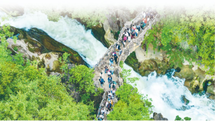 以園區為支點，精準服務與融入新發展格局